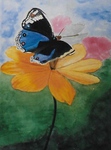 "Blume mit Schmetterling"
