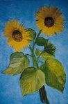 "Sonnenblumen"